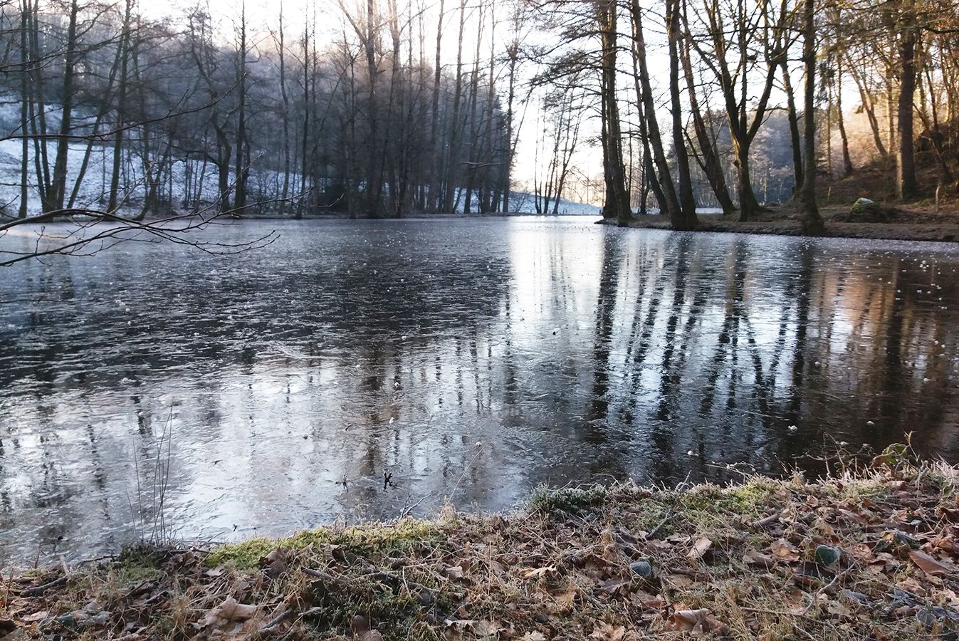 Le Taïaut - Etang 4